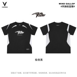VEIDOORN 短袖风驰投篮服T恤男美式篮球训练服运动跑步上衣透气网眼潮V