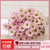 京喜 小雏菊鲜切花云南基地水养花期长家庭插花A鲜花520母亲节鲜 斑纹小雏菊5枝