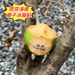 1 海南海口椰汁瓶冰箱贴趣味创意旅游纪念品伴手礼物送闺蜜 海南椰子冰箱贴