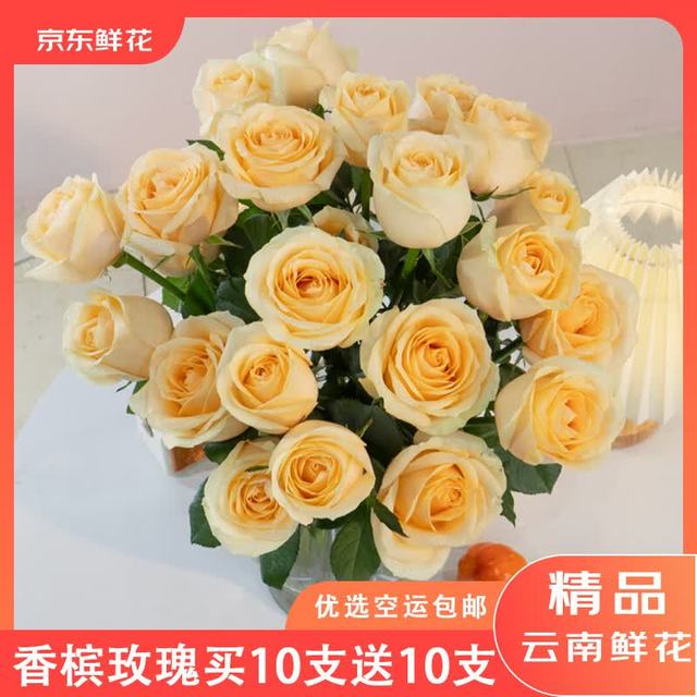 京东鲜花 基地香槟玫瑰鲜切花束20枝 源头直发
