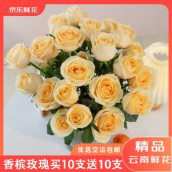 京东鲜花 基地香槟玫瑰鲜切花束20枝 源头直发