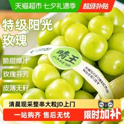 京运达 阳光玫瑰葡萄 新鲜水果