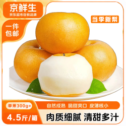 京鲜生 冰糖秋月梨 净重1.5kg 单果270g+ 生鲜水果
