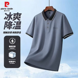 皮尔·卡丹 夏季新款 翻领潮流POLO衫半袖体恤商务休闲上衣