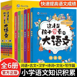 这才是孩子爱看的大语文全6册汉字篇词语篇古文篇诗词篇文化篇写作篇学语文就要