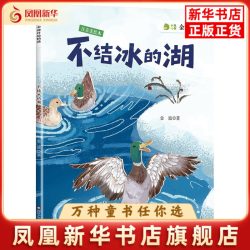 不结冰的湖金波儿童文学四川少年儿童出版社凤凰新华书店旗舰店
