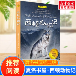 猫武士八部曲全套48册 正版 星尽曙明猫武士首部曲第一二三四五六七八部曲必小