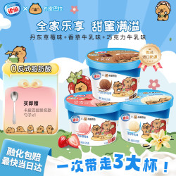 雀巢 冰淇淋 家庭杯 巧克力味 香草味 草莓味 255g*3杯