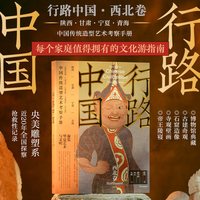 行路中国 西北卷 张伟主编 央美团队写给你的深度文化游指南 中信出版社图书 正版