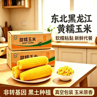 馋乡玉 正宗东北新鲜黄糯玉米软糯拉丝真空包装寒地黑土一季低脂香甜早餐 东北黄糯玉米6根*1250g