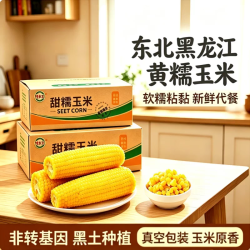 馋乡玉 正宗东北新鲜黄糯玉米软糯拉丝真空包装寒地黑土一季低脂香甜早餐 东北黄糯玉米6根*1250g