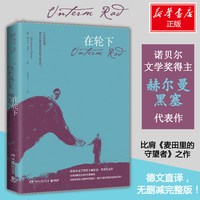 在轮下 (德)赫尔曼·黑塞(Hermann Hesse) 著 朱雁飞 译 外国小说文学 新华书店正版图书籍 湖南文艺出版社