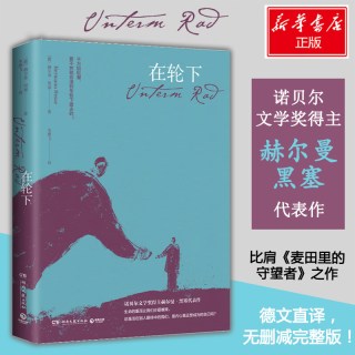 在轮下 (德)赫尔曼·黑塞(Hermann Hesse) 著 朱雁飞 译 外国小说文学 新华书店正版图书籍 湖南文艺出版社