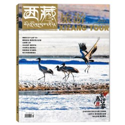 西藏旅游杂志2026年6月 一文一物话西藏 以文读史 以物鉴今