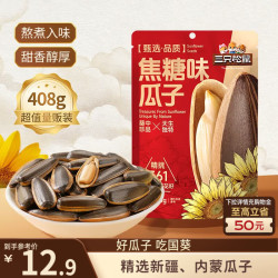 三只松鼠 焦糖味葵花籽500g/袋 坚果炒货瓜子办公室宿舍休闲零食特产小吃