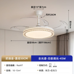 PARSA 风扇灯 2026新款现代简约隐形吊扇灯家用护眼静音餐厅电扇灯