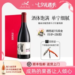 迦南美地 黑骏马赤霞珠美乐干红葡萄酒宁夏贺兰山东麓红酒2018年份