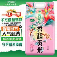 十月稻田 香稻贡米 5kg