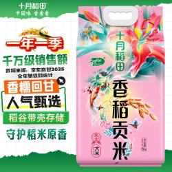 十月稻田 香稻贡米 5kg