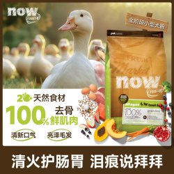 NOW Fresh狗粮小型犬进口泰迪比熊专用成犬幼犬四叶草颗粒鲜肉犬粮