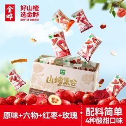 金晔 山楂条4种口味550g盒装水果条果干果脯蜜饯休闲零食混装整箱