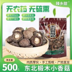 臻乡甜 东北长白山香菇干货500g无根小香菇菌干冬蘑特产野椴木生级