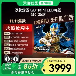 雷鸟 鹤6 26款 液晶电视