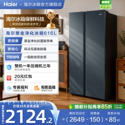 海尔 盛宴系列 BCD-616WGHSSEDC9 风冷对开门冰箱 616L 烟青色