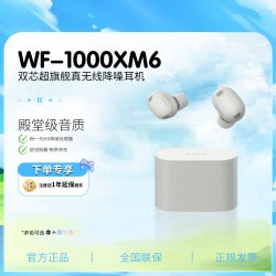 索尼 WF-1000XM6 双芯降噪 真无线耳机
