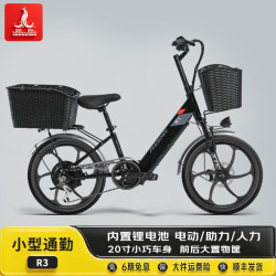 PHOENIX 20寸电动自行车成人新国标锂电池助力电动车