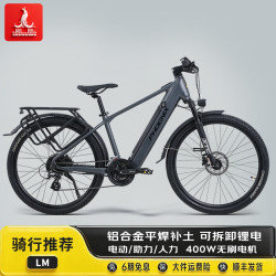 PHOENIX 铝合金电助力自行车