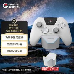 盖世小鸡 观星者无线游戏手柄