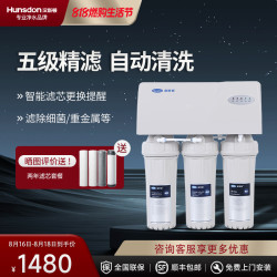 汉斯顿 厨下式直饮净水器HSD-02净水器