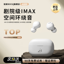 咪帅 主动降噪 无线蓝牙耳机  有线充电 闪银白 Type-C