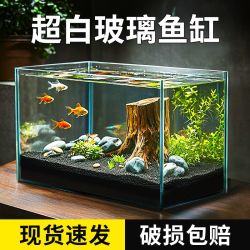森森 直角超白缸小型桌面客厅玻璃鱼缸生态斗鱼金鱼缸龟缸裸缸草缸