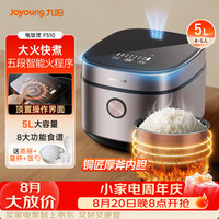 九阳 F510 5L铜匠厚釜内胆智能电饭煲