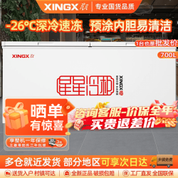 星星 BD/BC-700R 商用冰柜 厨房商用保鲜设备