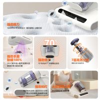 DAEWOO大宇 V3 双尘杯热风除螨 手持式吸尘器