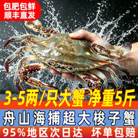 大海船说舟山超大梭子蟹鲜蟹活冻大螃蟹生鲜飞蟹大肉蟹 梭子蟹 3-5两/只