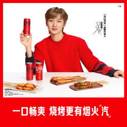 可口可乐 FIFA世界杯款 330ml*20罐 碳酸饮料