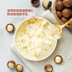 哈根达斯 夏威夷果仁冰淇淋 81g