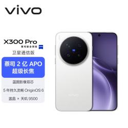 vivo X300 Pro 卫星通信版 5G手机 16GB+1TB 简单白