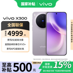 vivo X300 5G手机 惬意紫 12GB+256GB
