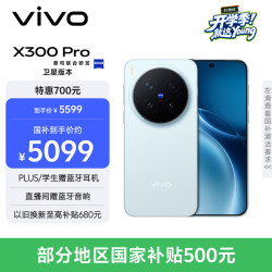 vivo X300 Pro 卫星通信版 5G手机 12GB+512GB 自在蓝