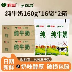 科迪 纯牛奶 160g