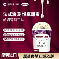 哈根达斯 Haagen-Dazs） 朗姆葡萄干冰淇淋460ml