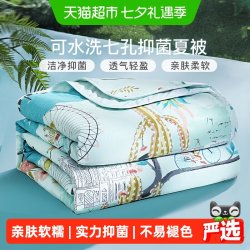 富安娜 梦幻小时光 七孔抗菌夏被