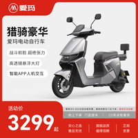 爱玛 猎骑S1 长续航 电动自行车