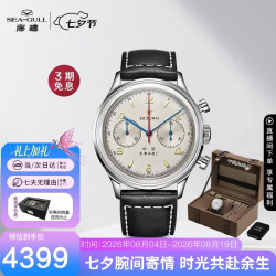 海鸥 SEAGULL）手表男士机械表 男表礼物 航空码表 D304复刻腕表礼盒1963时代版