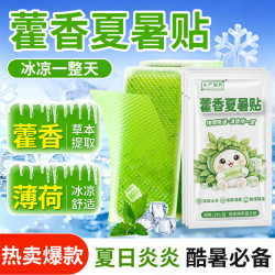京喜 小严制药藿香夏暑贴宝宝清凉贴轻薄服帖消暑散热冰敷眼罩草本薄荷冰凉贴 藿香夏暑贴（2片/袋）*2袋
